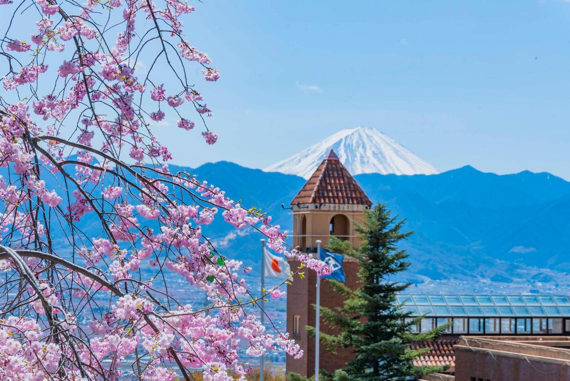 Fruit Park Fujiya Hotel Яманаси Экстерьер фото